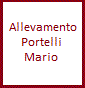 Portelli Mario