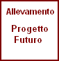 Progetto & Futuro