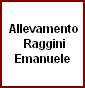 Raggini Emanuele - Allevamento anglo-arabo