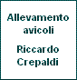 Riccardo Crepaldi