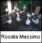 Rosata Massimo