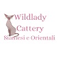 wildladycattery