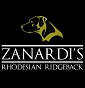 Zanardi's